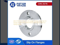 DIN 2576 PN 10 Slip On RF Flange Slip On Flanges in acciaio inossidabile ASTM A182 F304/F304L/F316/F316L/F304H per sistemi di tubazioni